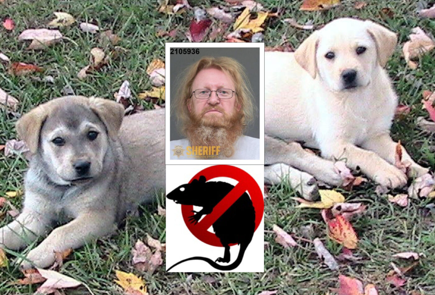 beaverton_man_poisons_neighbors_dogs-01