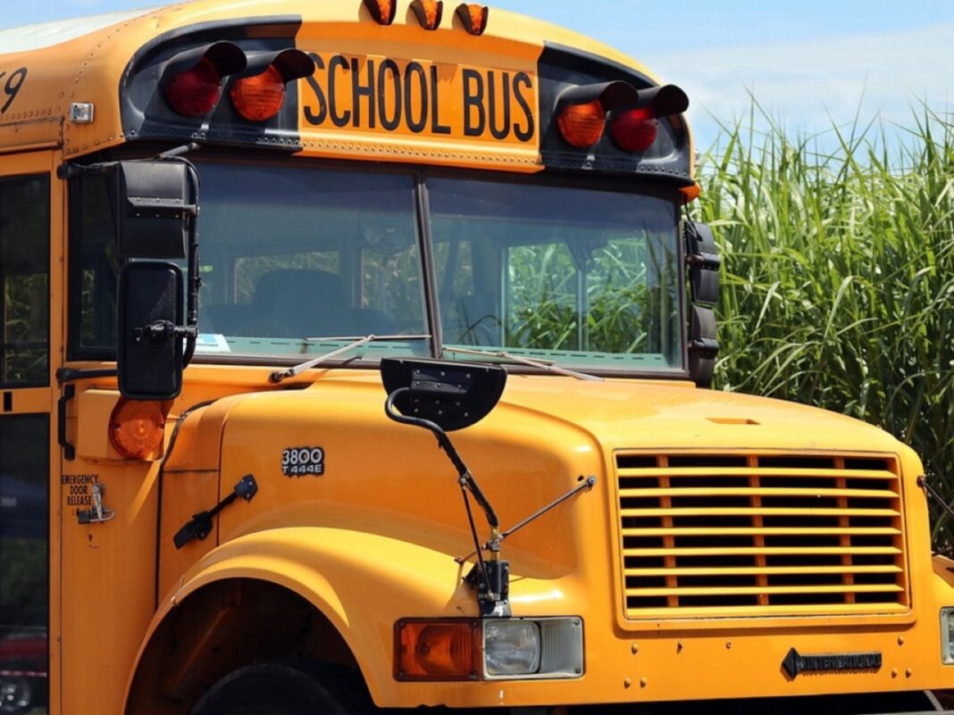school bus beaverton oregon