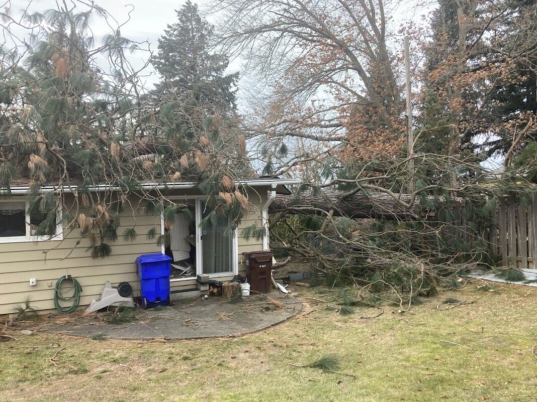 fallen tree on back of house in se portland
