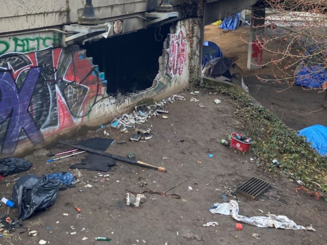 hole in brick wall at homeless encampment_2
