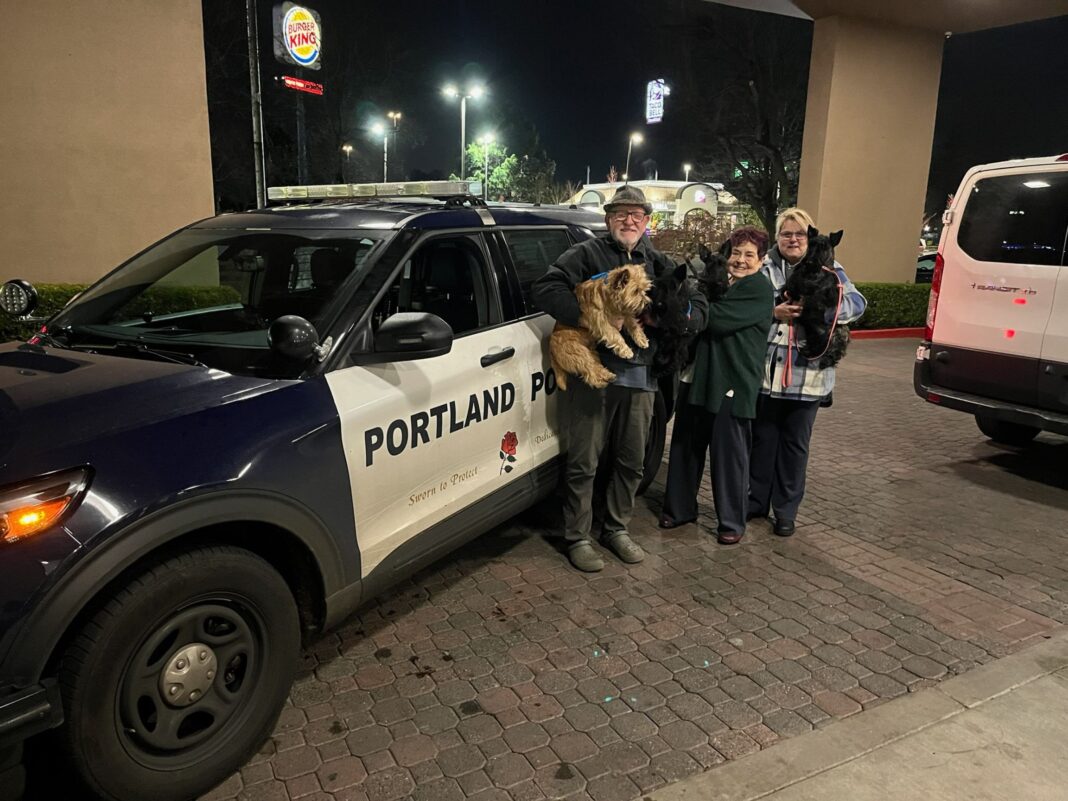 stolen show dogs reunited with owners