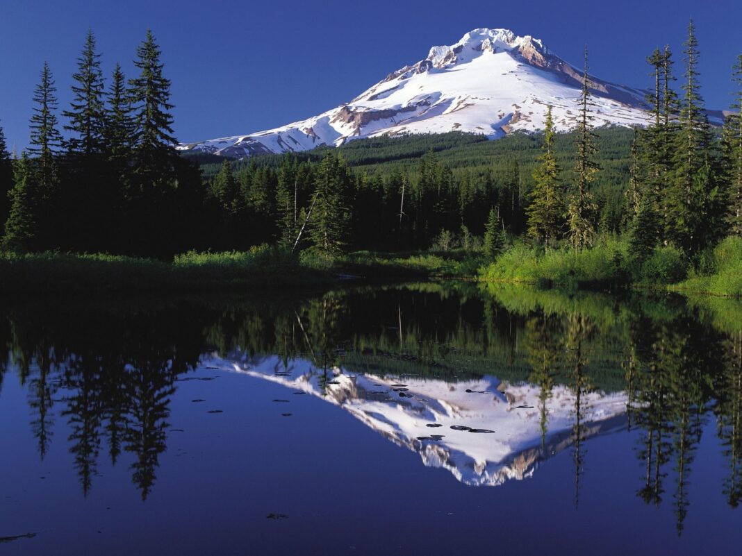 forest, mount hood, oregon dept of forestry,