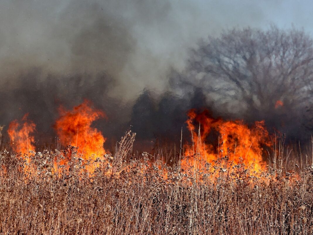 wildfire oregon evacuation safety plan