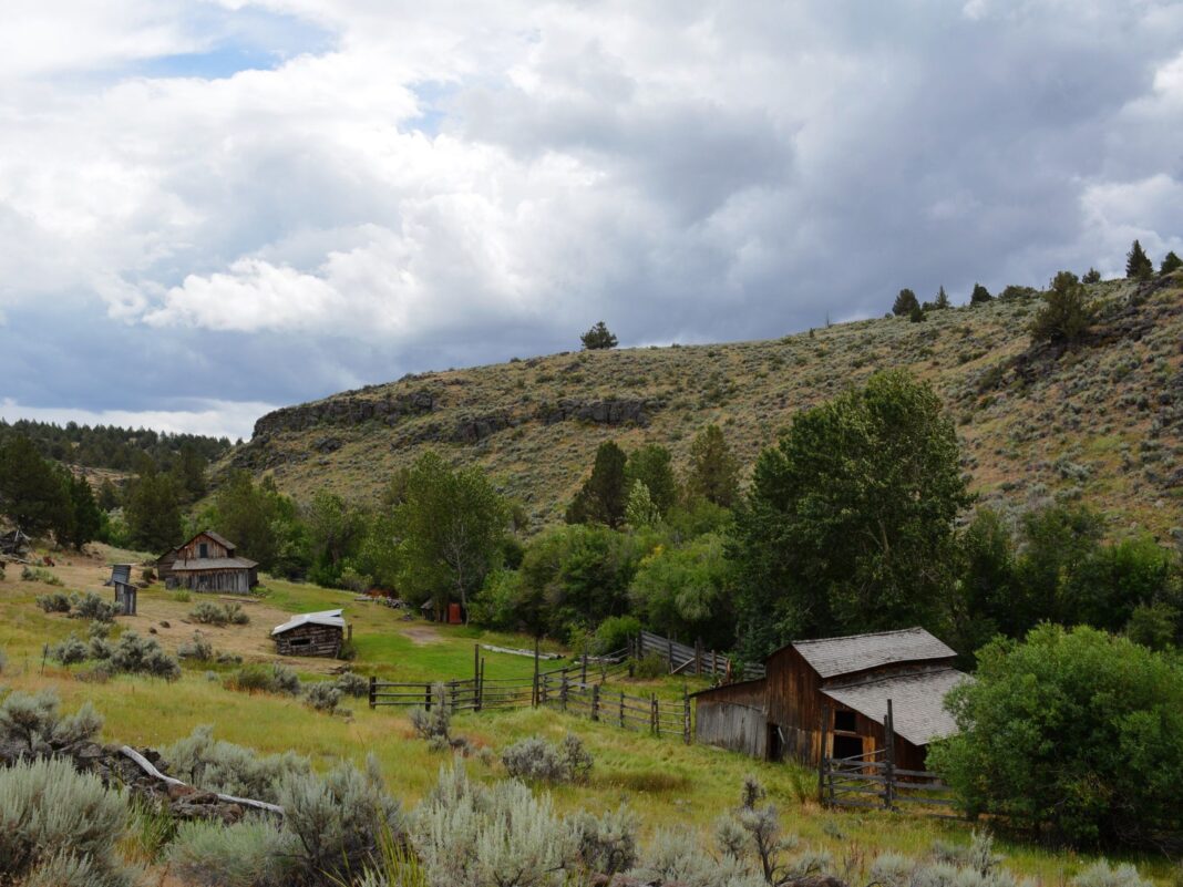riddle brothers ranch overview