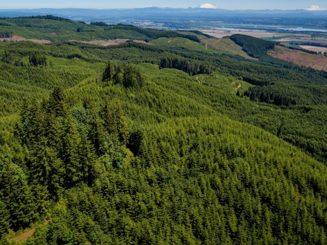 forest legacy program 10.7 million to ODF