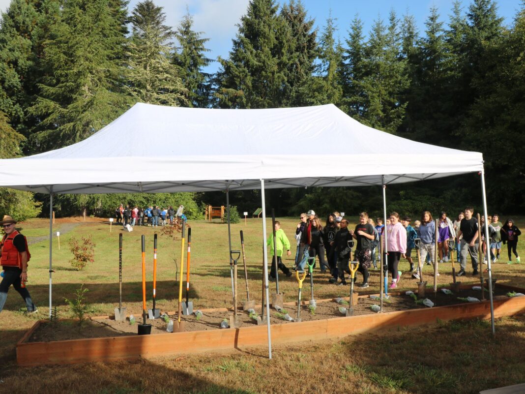 sixth graders dig trees clatsop county