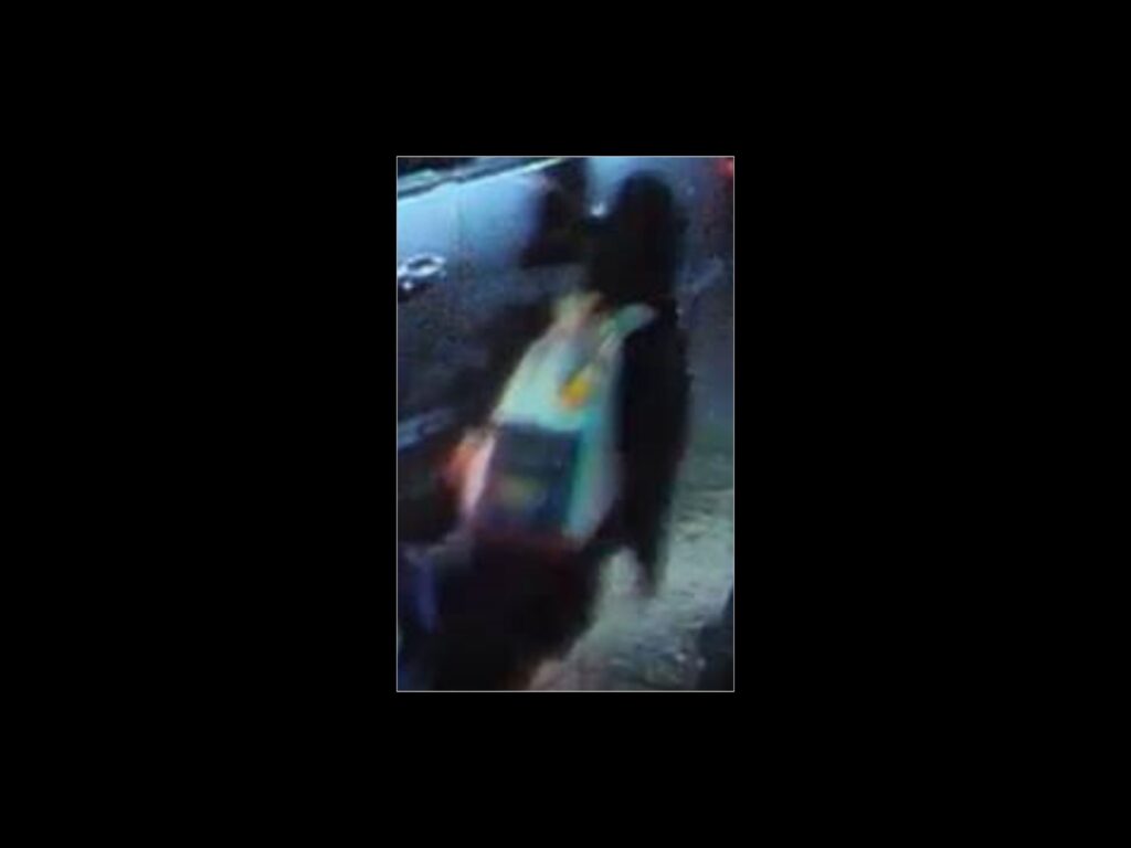 missing girl aubrey brandvold camera footage