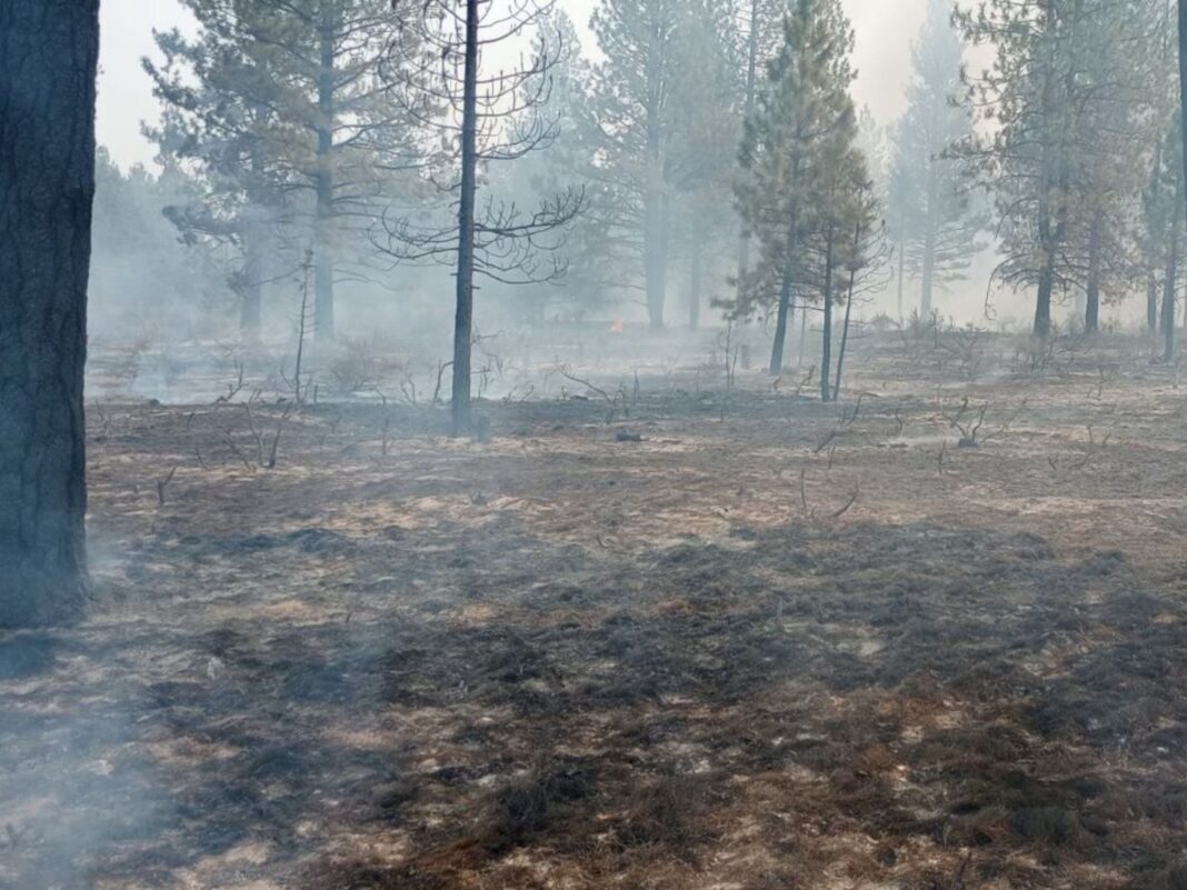 photo of juniper creek fire in sisters oregon