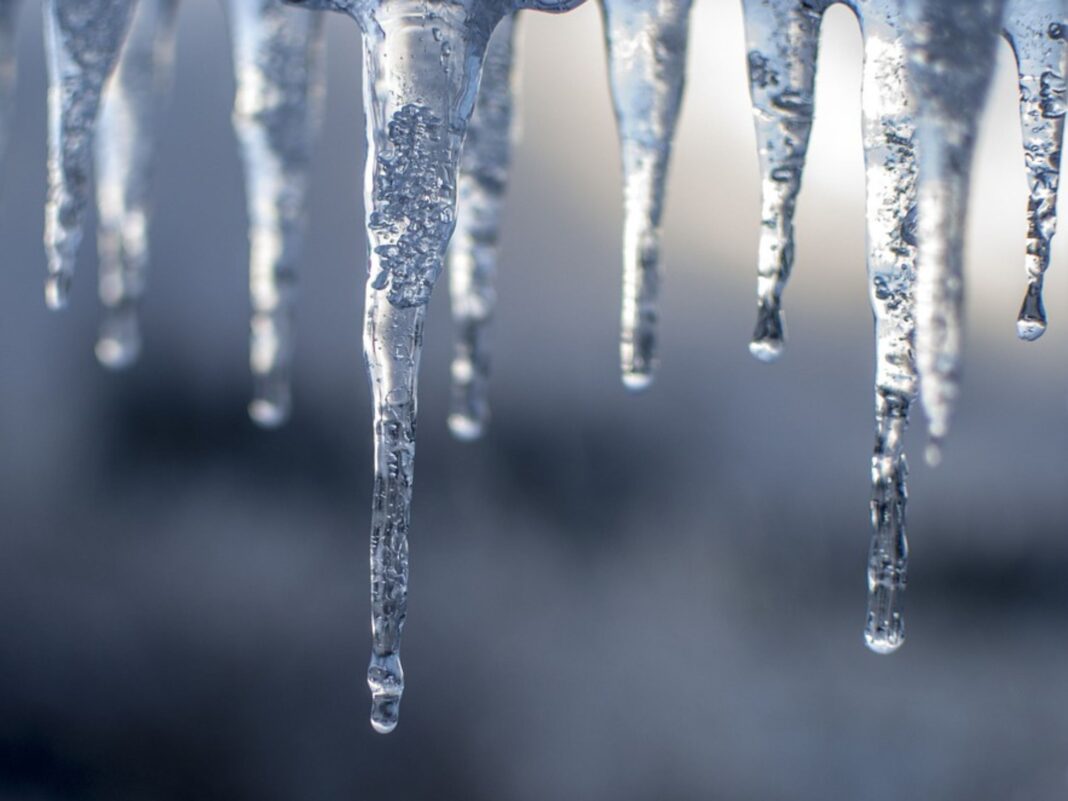 Oregon Department of Forestry assists in post ice storm recovery in lane county