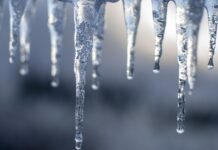 Oregon Department of Forestry assists in post-ice storm recovery Oregon Department of Forestry assists in post ice storm recovery in lane county