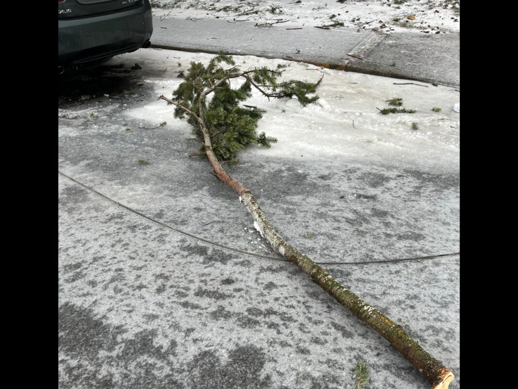 PFR responds to powerline that killed 3