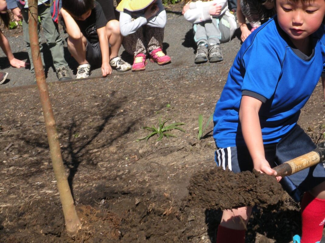 gov kotek proclaims april as oregon arbor month