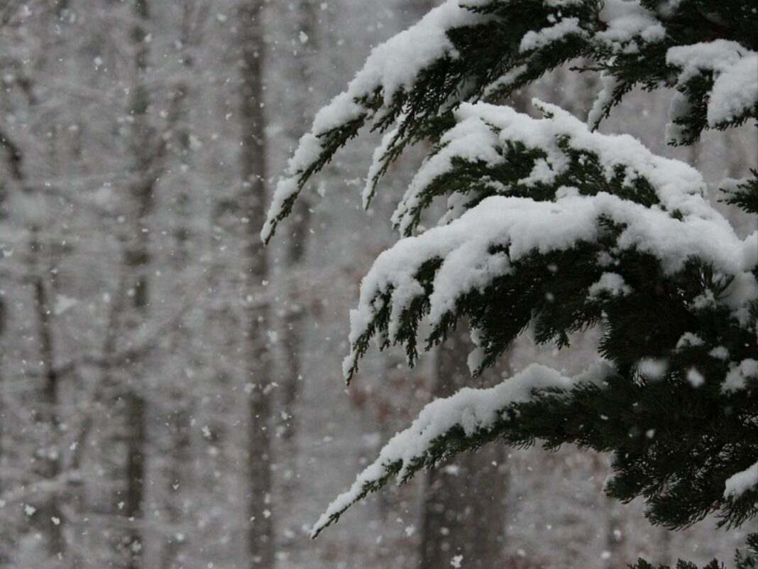 snow storm state agencies urge people to stay off roads