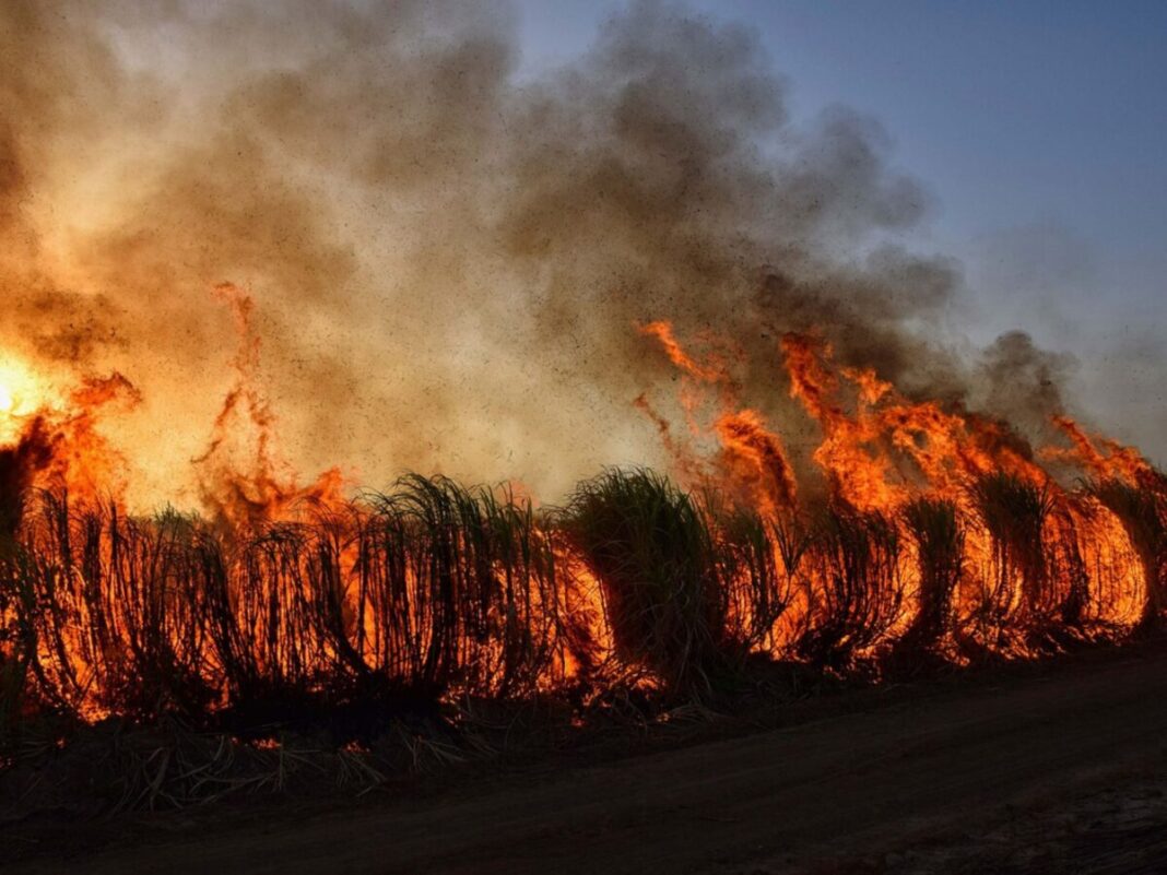 ODF urges safe debris burning